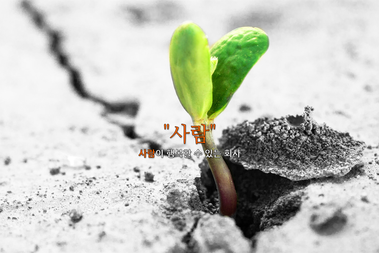 회사 뉴스 테스트 게시글